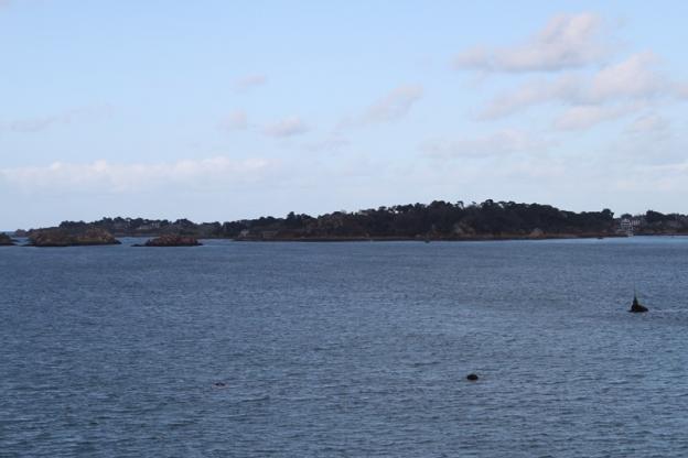 Du côté de Pontrieux (22) fév.2012 123