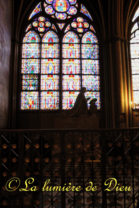 La cathédrale Notre-Dame de Paris