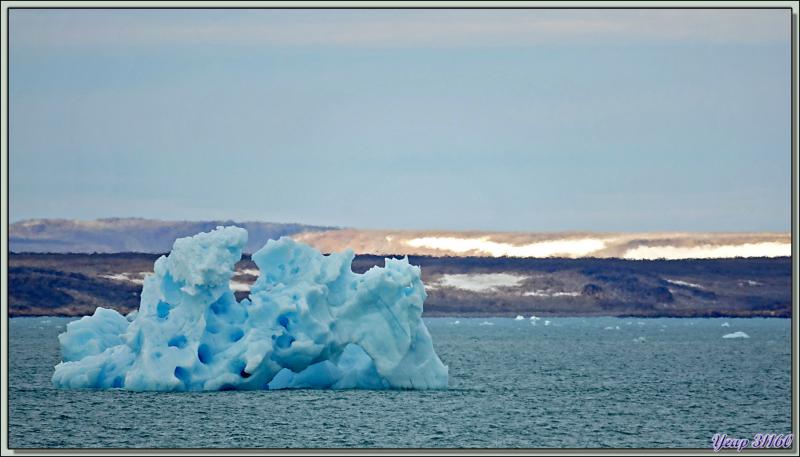 En attendant mon débarquementEn attendant mon débarquement, je capture en image les plus beaux "glaçons" qui défilent - Devon Island - Nunavut - Canada