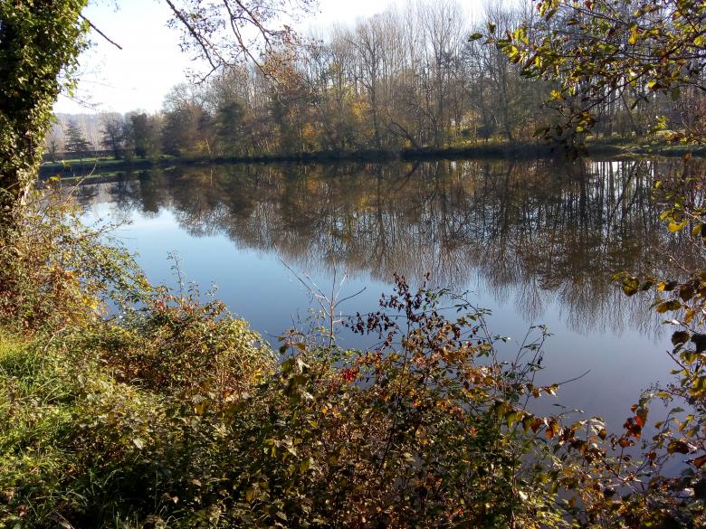 promenade au grand air ce dimanche