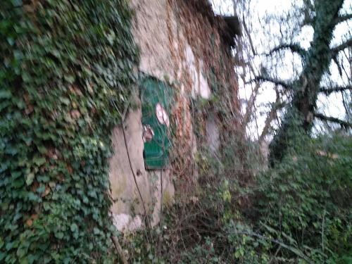 Maison rustique : d'eau et de chasse