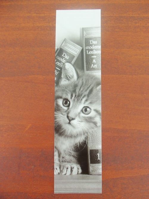 Mes marque-pages [21]