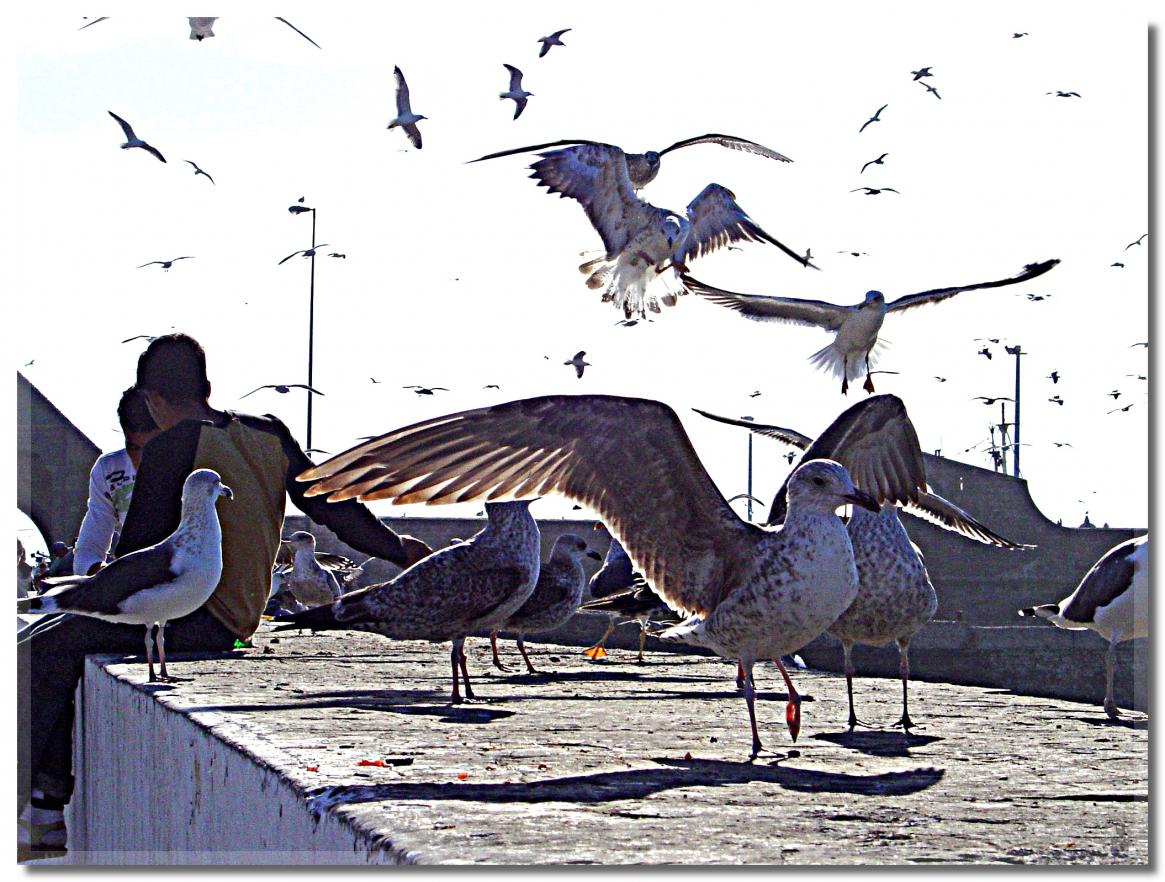 UN  PETIT  TOUR  A  ESSAOUIRA 