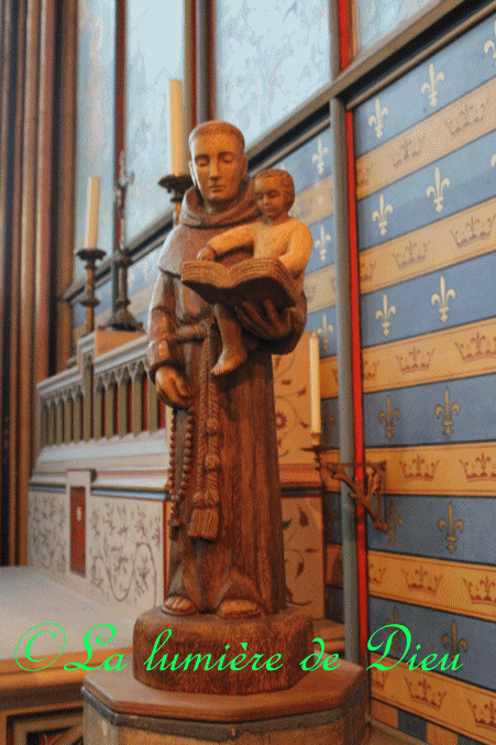 La cathédrale Notre-Dame de Paris