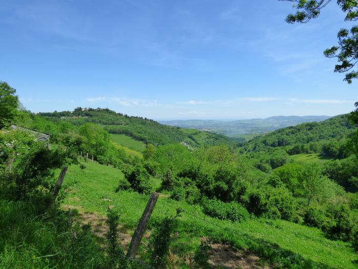 Département du Rhône