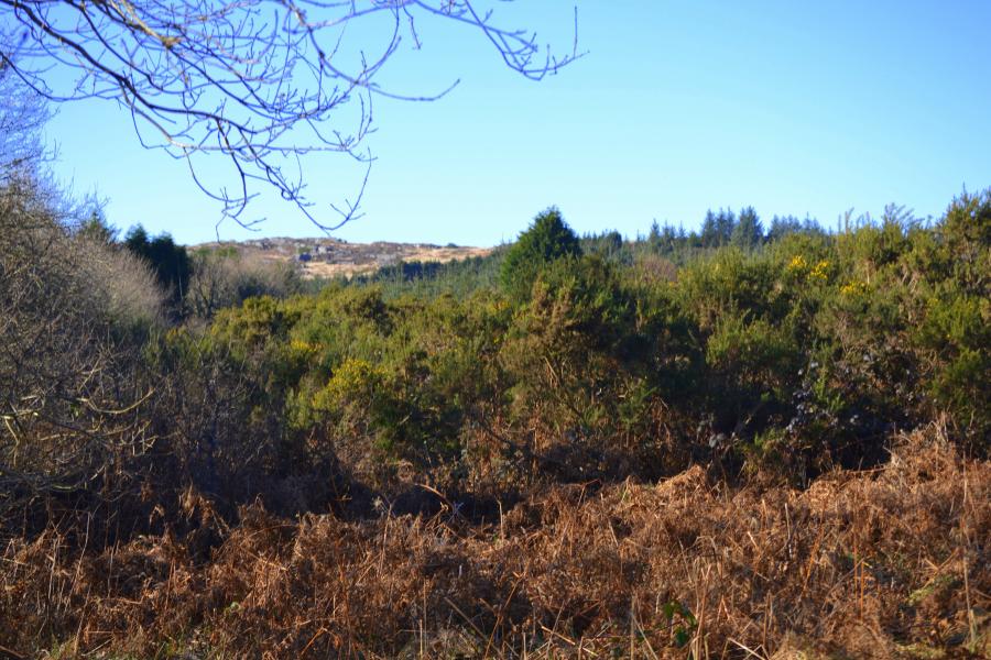  Paysages de caractéres   ( la promeneuse 