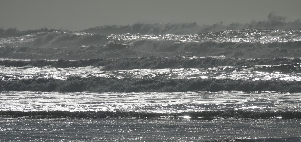 Balade au bord de l'Océan Atlantique - février 2019...