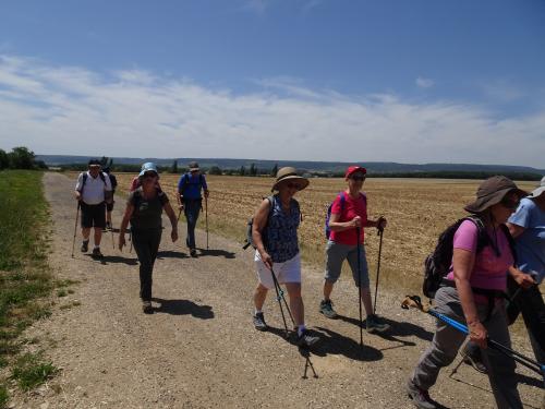 "Baladouce d'été" - Mardi 09 juillet 2024