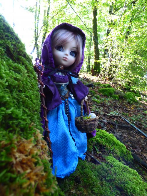 Un automne avec Fauna