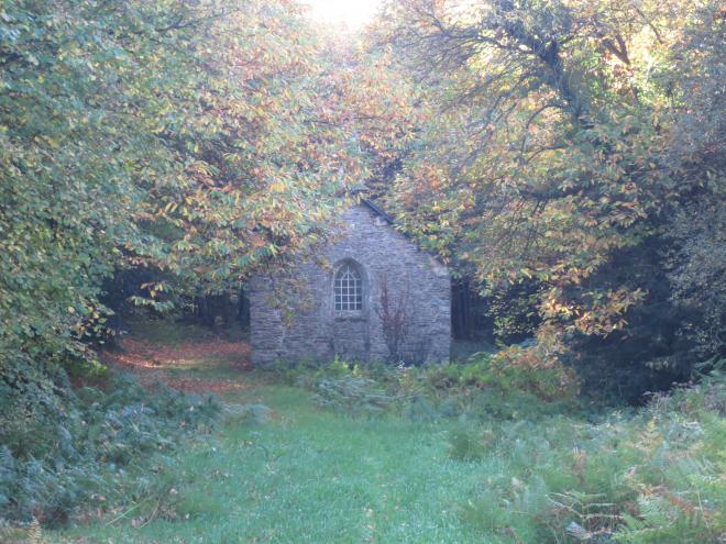 au coeur de la fôret de Brocéliande en Bretagne, octobre 2016 (2)