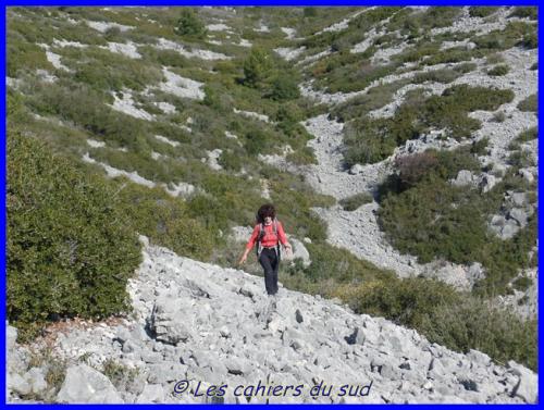Le vallat des Brayes