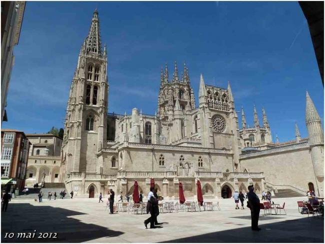 (J36) Rabé de las Calzadas / Burgos 10 mai 2012 (3)