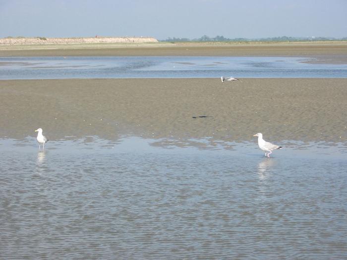 Département de la Somme