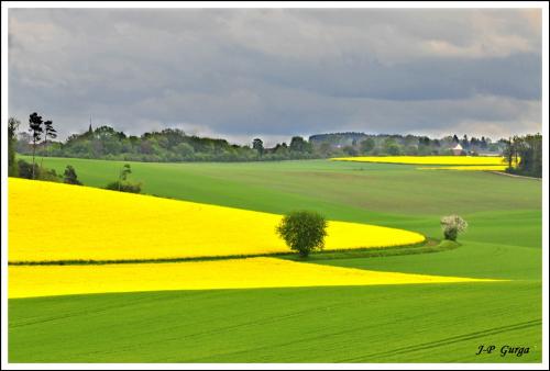 Paysages châtillonnais par Jean-Pierre Gurga..