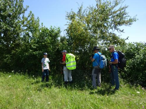 "Baladouce d'été" - Mardi 09 juillet 2024