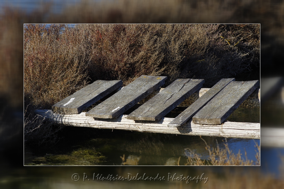Site naturel protégé des Salines (Hérault)