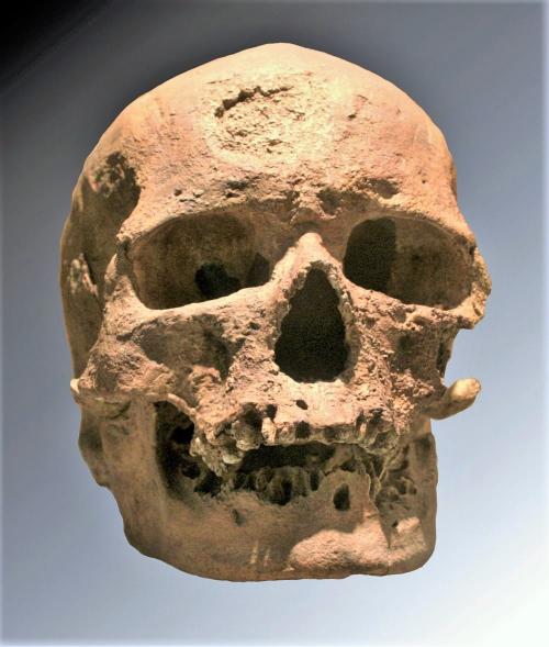 ''Homme de Cro-Magnon'' découvert en 1868 par Louis Lartet, premier représentant fossile d'Homo sapiens identifié en Europe, daté de 28 000 ans © Wikipédia.jpg