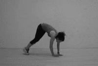 ☯ Mimer l'animal 2