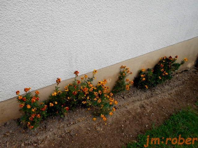 1970 ,il y avait un jardin .......... la terre...