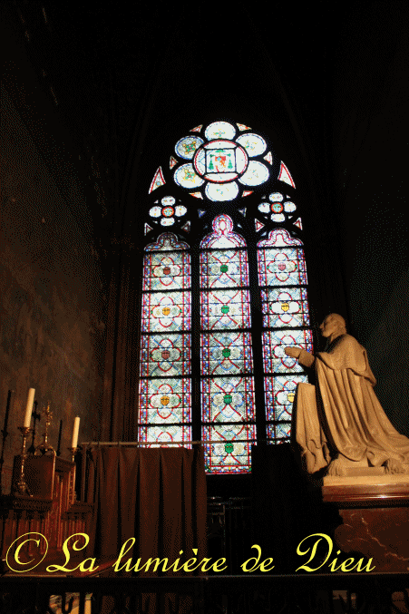 La cathédrale Notre-Dame de Paris