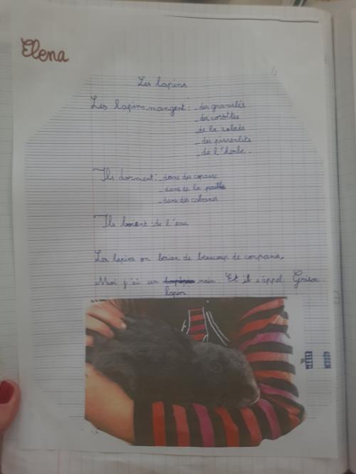 Quoi de neuf ?