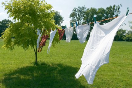 Vendredi senryû, haïku de saison, mai...