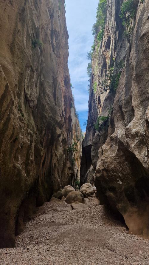un petit tour sur l'ile magique et des nouvelles de maman