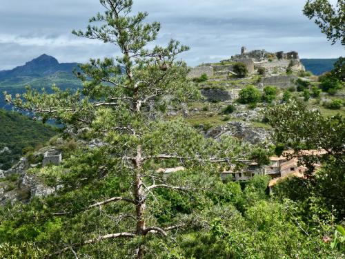 Peut être une image de nature et arbre