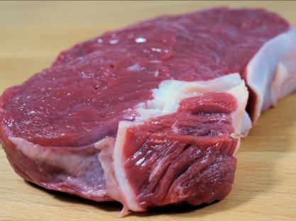 aliments nefaste pour chien