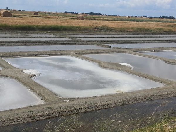 Département de la Vendée