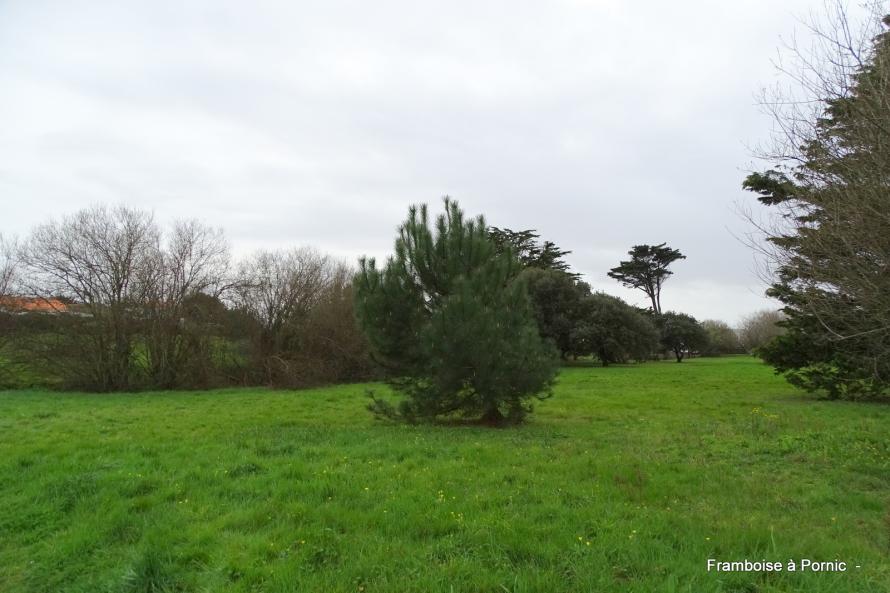 Bernerie en retz - Parc des roches dorées - 2020