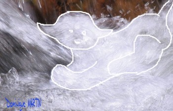 LES EMANANTS ANIMAUX 2