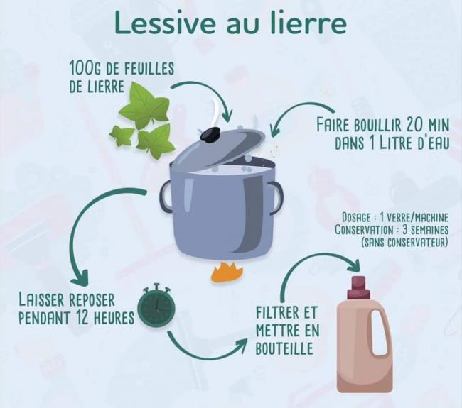 plante "attachante" ...