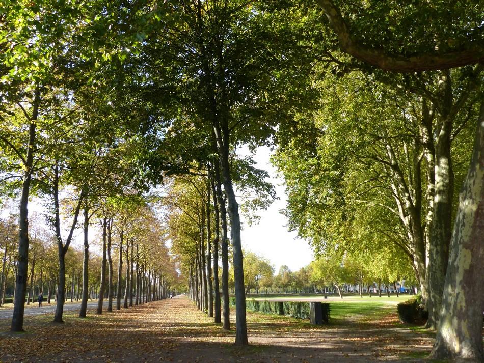 Le soleil m'accompagne au Parc de la Hotoie