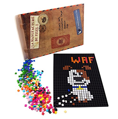 La Manufacture du Pixel - Pack 1 Grille et 900 Pixels à insérer (Noir) - Pixel Art, Loisir Créatif, Mosaïque, Fun ! - Créez à l'infini Tout l'art Qui Vous Ressemble