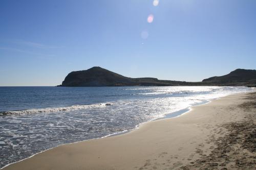 Lundi 20 au dimanche 26 janvier