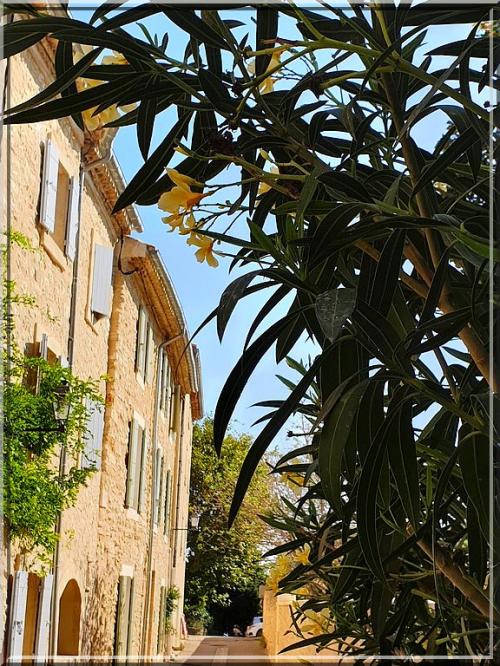 1011 - Le Barroux dans le Vaucluse (84)