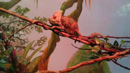 Epic spring weekend in Toronto