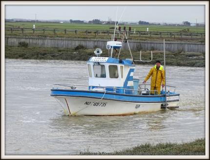 Pêcheurs de civelles au Port du collet - 44 - 2018