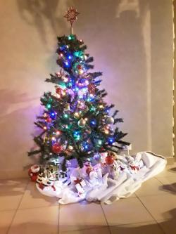  Sapin,  Oui mais alors pleins de sapiiiinnnnns !