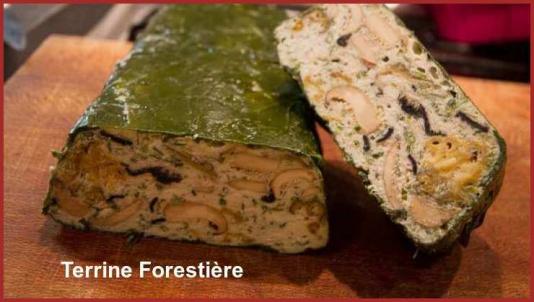 ღ꧁ღ╭⊱ꕥ   41 Le Centre  ꕥ⊱╮ღ꧂ღ