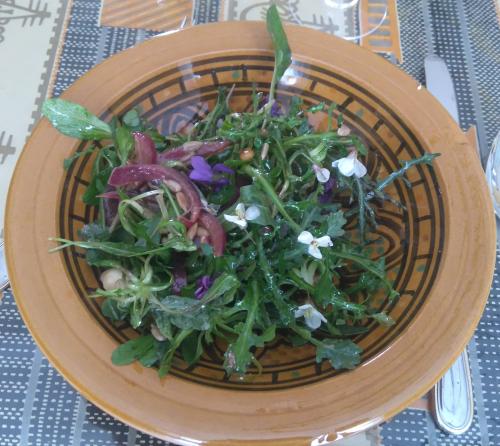 dimanche 18 mars 2018 : Yoga et salades sauvages 