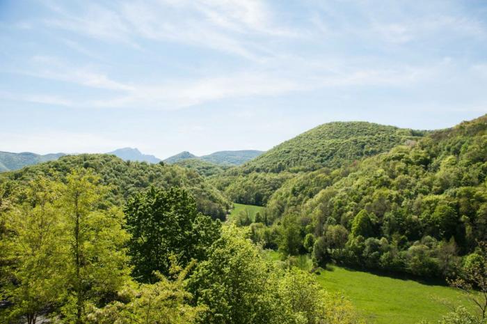 Département de la Haute Garonne