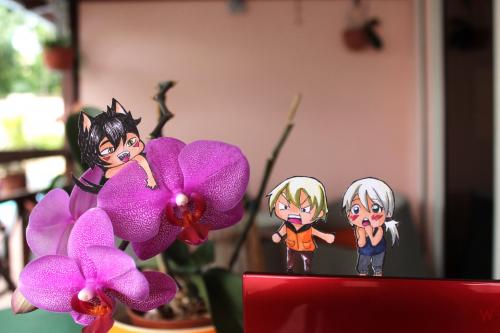 Trois personnages dans "Urufu" en chibi