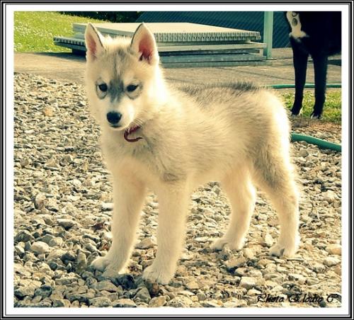 Eden (3 mois)