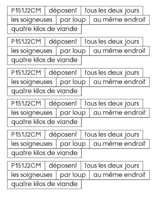 Grammaire au jour le jour tome 2 : les étiquettes pour constituer les phrases des exercices