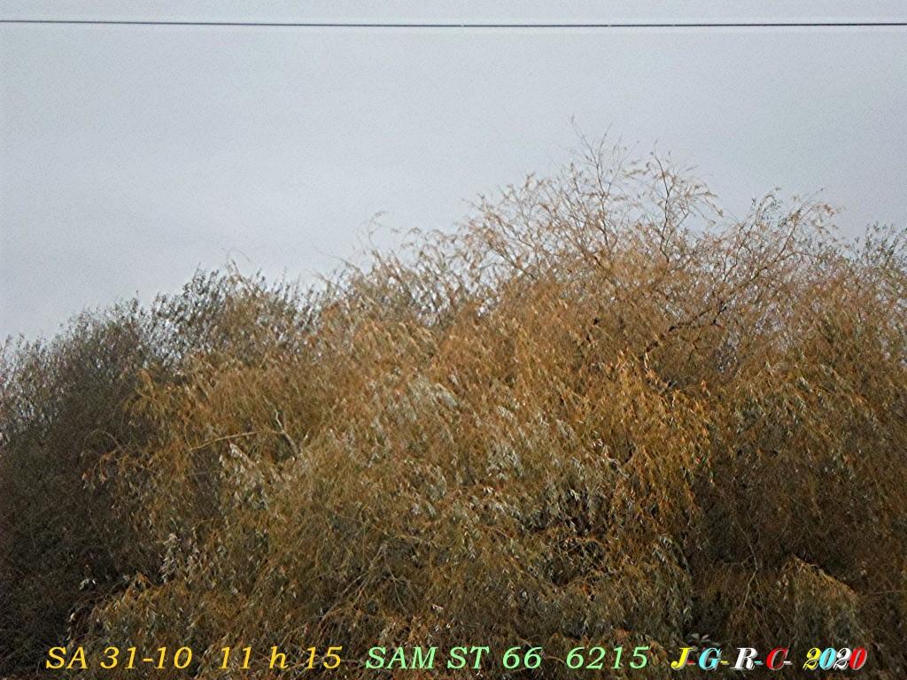 CIEL DE JOUR OU DE NUIT Semaine  44  D  01-11-2020