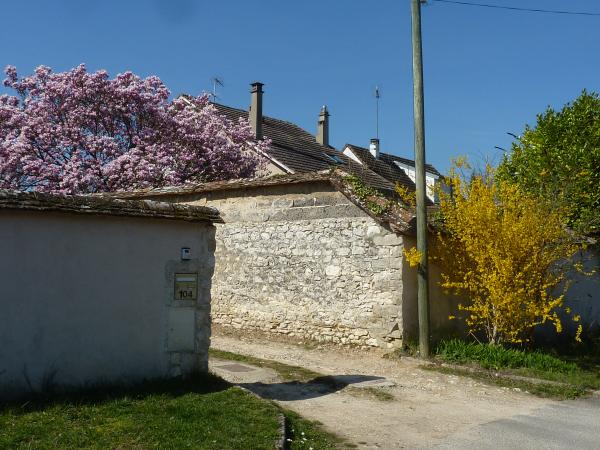 Randonnée et visite de l'atelier de Rosa Bonheur