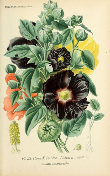 Image008.jpg