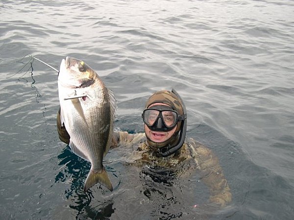 DSCN2339.jpg